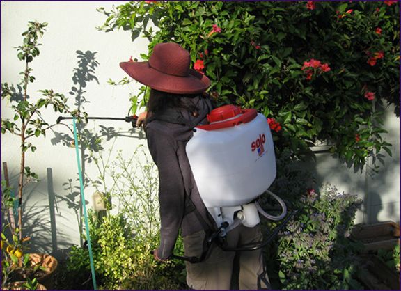 Frühjahrsbehandlung gegen Krankheiten und Insekten im Garten