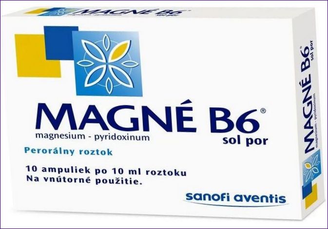 Magnet B6