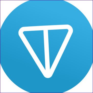 1 Punkt: Telegram Open Network (TON, GRAM)